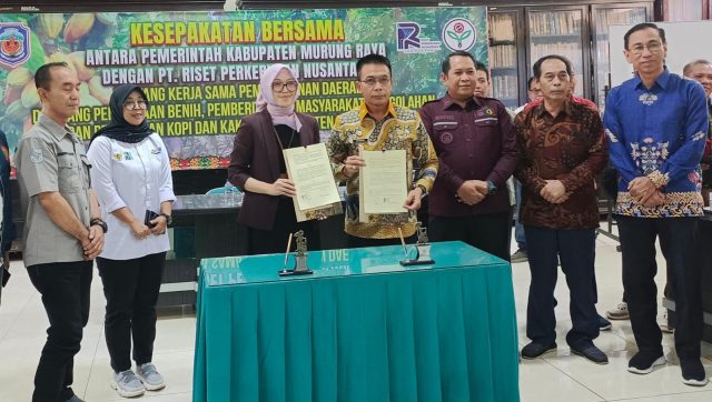 jember3