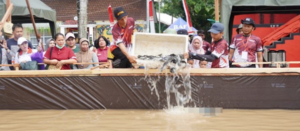 lomba ngaruhi